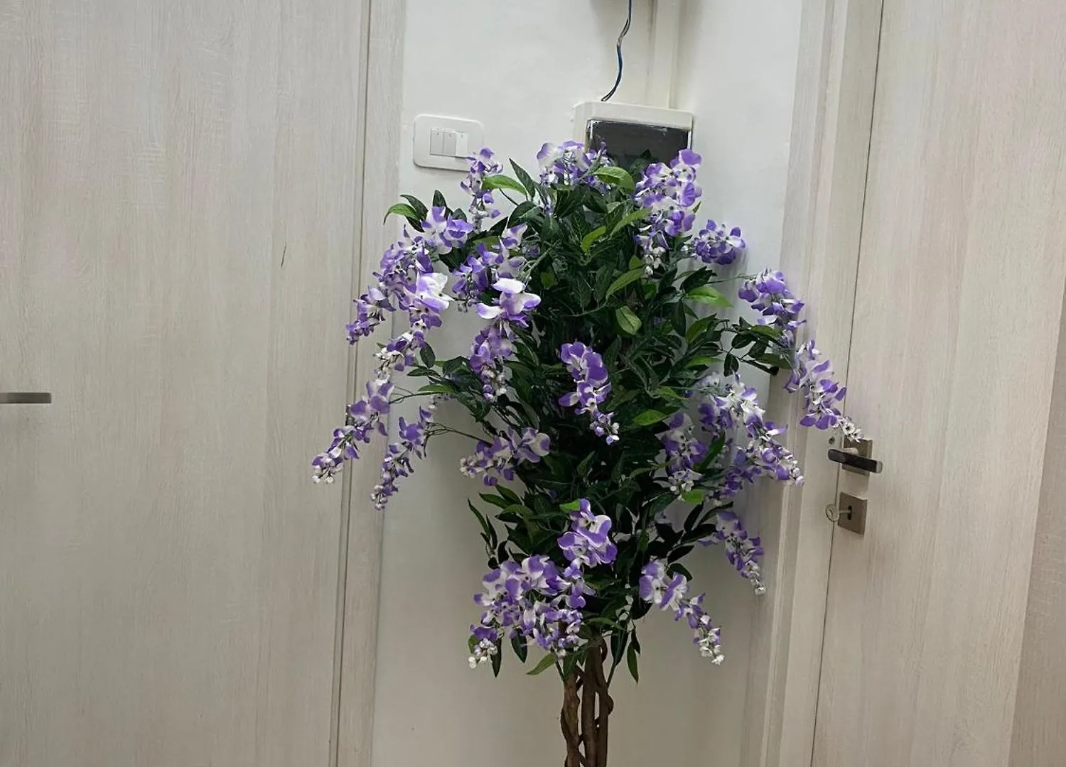 Robin Suites Rome Italy